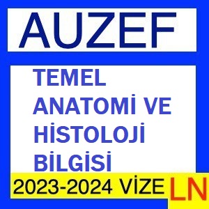 Temel Anatomi ve Histoloji Bilgisi 2023-2024 Vize Soruları