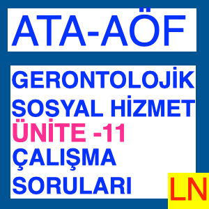 Aktif Yaşlanma I