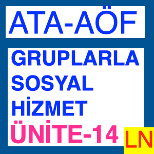 Gruplarla Sosyal Hizmette Eğitim ve Araştırma