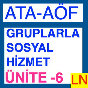 Örgütsel ve Toplumsal Alanlarda Grupla Çalışma