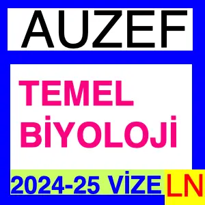 Temel Biyoloji 2024-2025 Vize Soruları