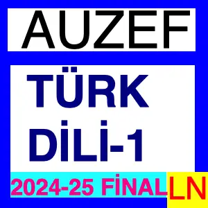 Türk Dili-1 2024-2025 Final Soruları