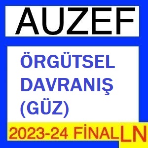 Örgütsel Davranış 2023-2024 (Güz) Final Soruları