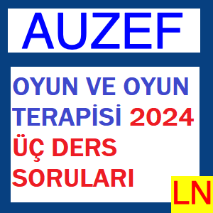 Oyun ve Oyun Terapisi 2024 Üç Ders Soruları